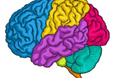 Mental Tier List